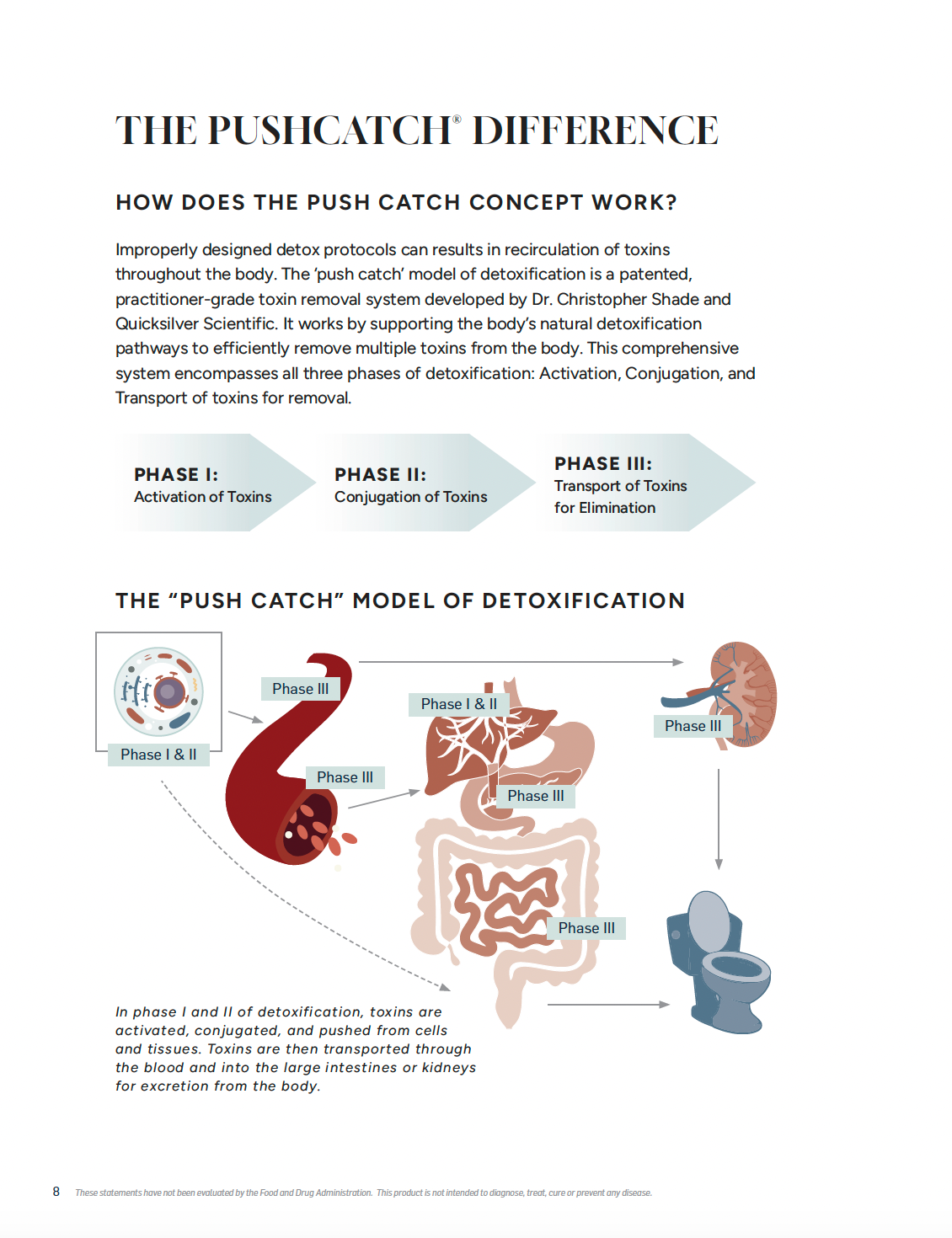 MASTERCLASS: PushCatch® Liver Detox Protocol + Program Guide