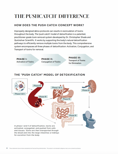MASTERCLASS: PushCatch® Liver Detox Protocol + Program Guide