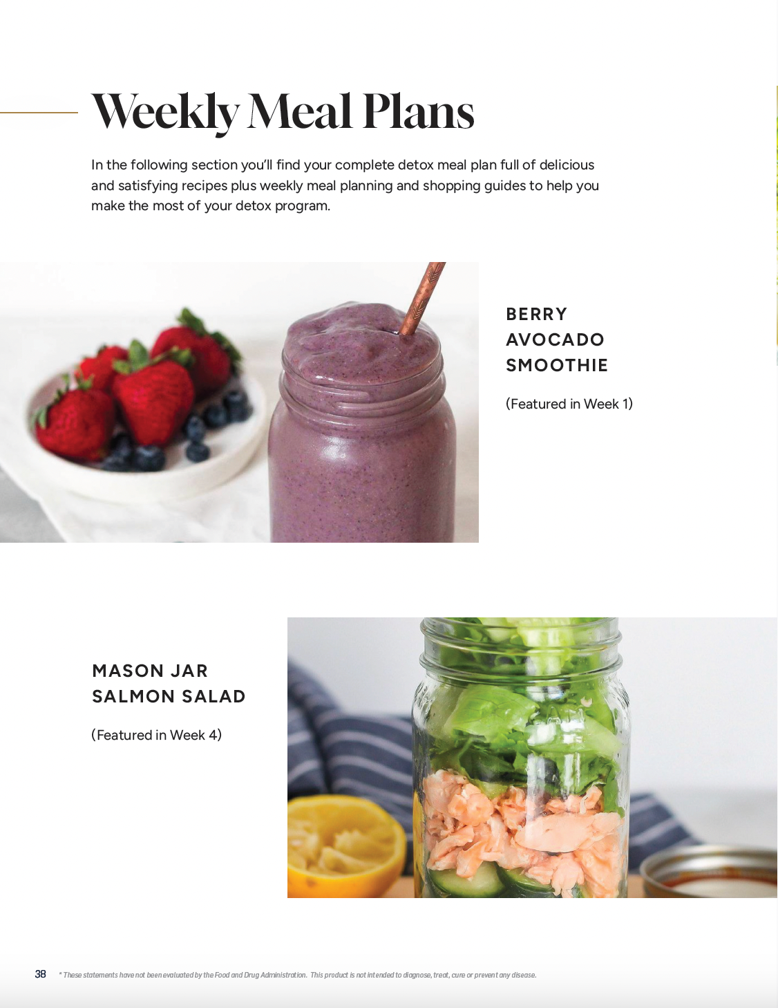 MASTERCLASS: PushCatch® Liver Detox Protocol + Program Guide